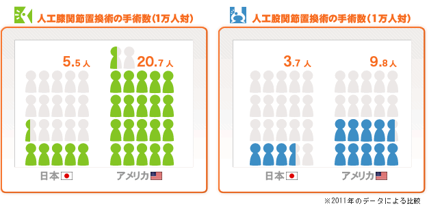 人工関節置換術の手術数（１万人対）