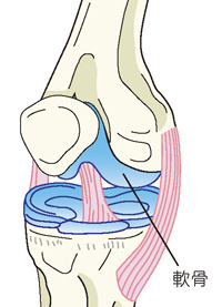 軟骨